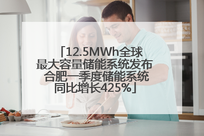 12.5MWh全球最大容量储能系统发布 合肥一季度储能系统同比增长425%
