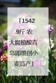 1542.9斤 农大腐植酸青岛即墨创小麦高产