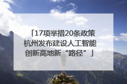 17项举措20条政策 杭州发布建设人工智能创新高地新“路径”