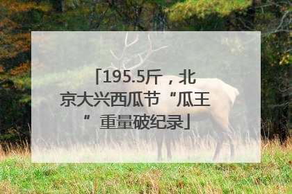 195.5斤，北京大兴西瓜节“瓜王”重量破纪录