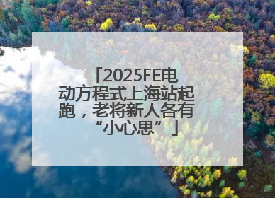 2025FE电动方程式上海站起跑，老将新人各有“小心思”