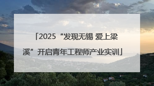 2025“发现无锡 爱上梁溪”开启青年工程师产业实训