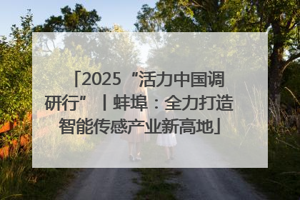 2025“活力中国调研行”丨蚌埠：全力打造智能传感产业新高地