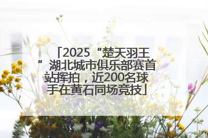 2025“楚天羽王”湖北城市俱乐部赛首站挥拍，近200名球手在黄石同场竞技