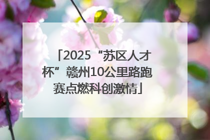 2025“苏区人才杯”赣州10公里路跑赛点燃科创激情
