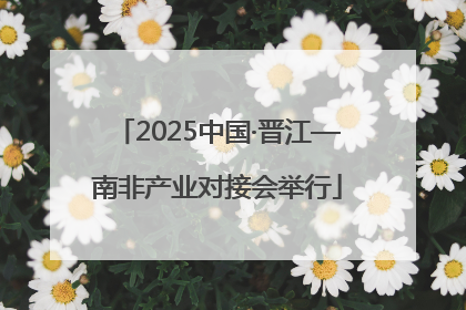 2025中国·晋江—南非产业对接会举行