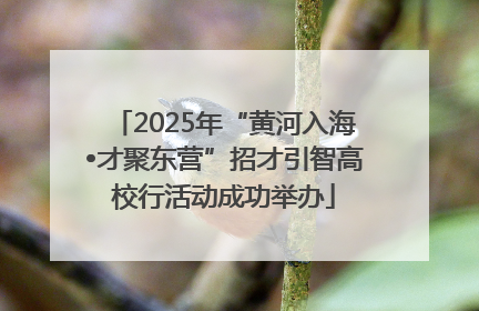 2025年“黄河入海•才聚东营”招才引智高校行活动成功举办
