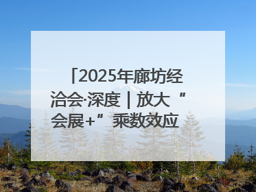 2025年廊坊经洽会·深度｜放大“会展+”乘数效应 打造消费新场景