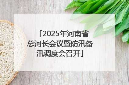 2025年河南省总河长会议暨防汛备汛调度会召开