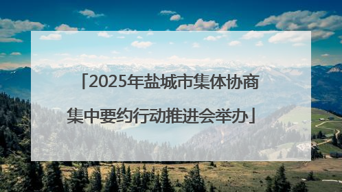 2025年盐城市集体协商集中要约行动推进会举办
