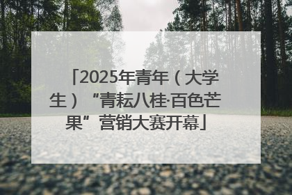 2025年青年（大学生）“青耘八桂·百色芒果”营销大赛开幕