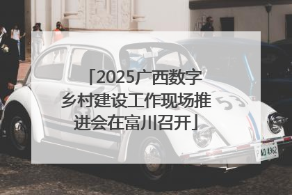2025广西数字乡村建设工作现场推进会在富川召开