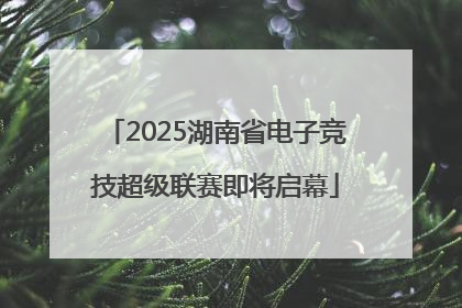 2025湖南省电子竞技超级联赛即将启幕