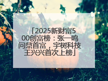 2025新财富500创富榜：张一鸣问鼎首富，宇树科技王兴兴首次上榜