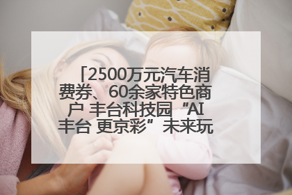 2500万元汽车消费券、60余家特色商户 丰台科技园“AI丰台 更京彩”未来玩家市集活动正式开幕