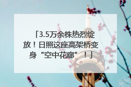 3.5万余株热烈绽放！日照这座高架桥变身“空中花廊”！