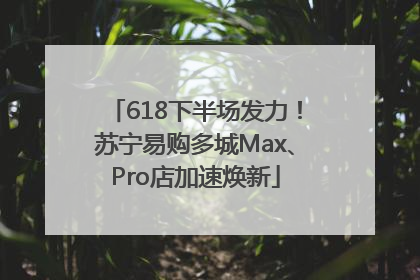 618下半场发力！苏宁易购多城Max、Pro店加速焕新