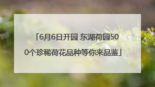 6月6日开园 东湖荷园500个珍稀荷花品种等你来品鉴