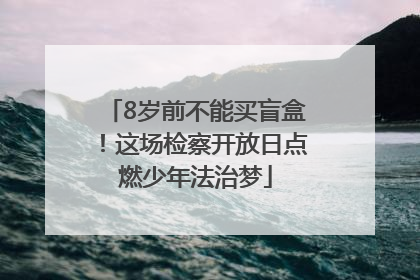 8岁前不能买盲盒！这场检察开放日点燃少年法治梦