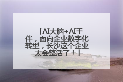 AI大脑+AI手伴，面向企业数字化转型，长沙这个企业太会整活了！