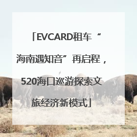 EVCARD租车“海南遇知音”再启程，520海口巡游探索文旅经济新模式