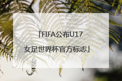 FIFA公布U17女足世界杯官方标志