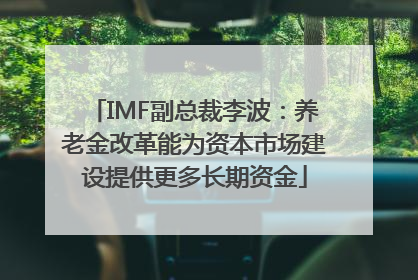 IMF副总裁李波：养老金改革能为资本市场建设提供更多长期资金