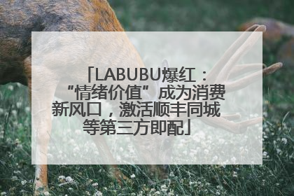 LABUBU爆红：“情绪价值”成为消费新风口，激活顺丰同城等第三方即配